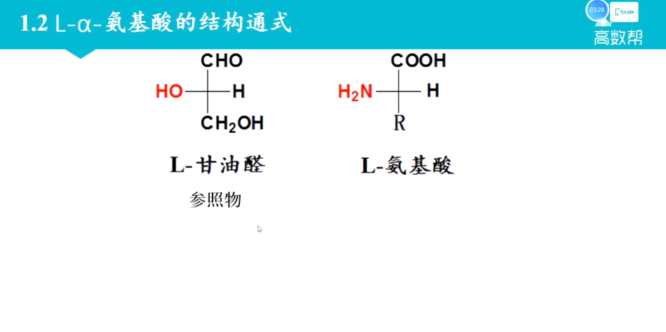 大学化学课程之生物化学 12讲带讲义