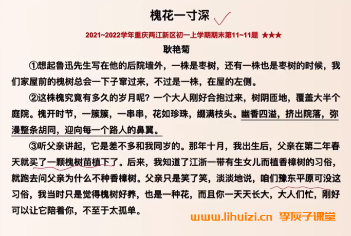 盖老师初中语文学霸养成营阅读理解和课外文言文 40讲百度网盘下载-李灰子课堂 盖老师初中语文学霸养成营阅读理解和课外文言文 40讲百度网盘下载-李灰子课堂
